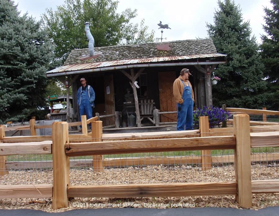 Pig racing at Bengston's Pumpkin Patch in Illinois