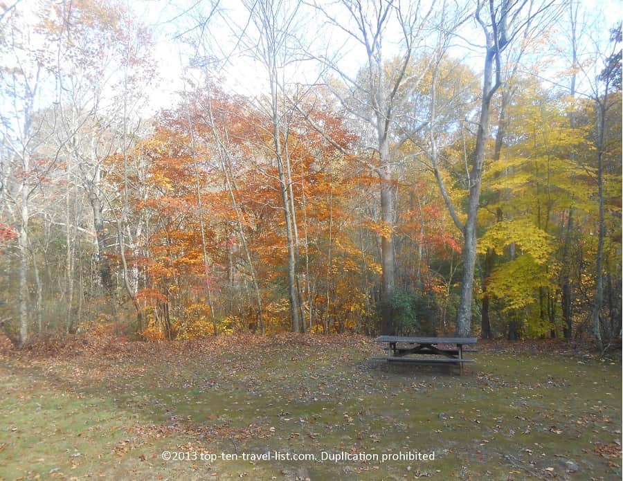 Picnic table at Devil's Hopyard