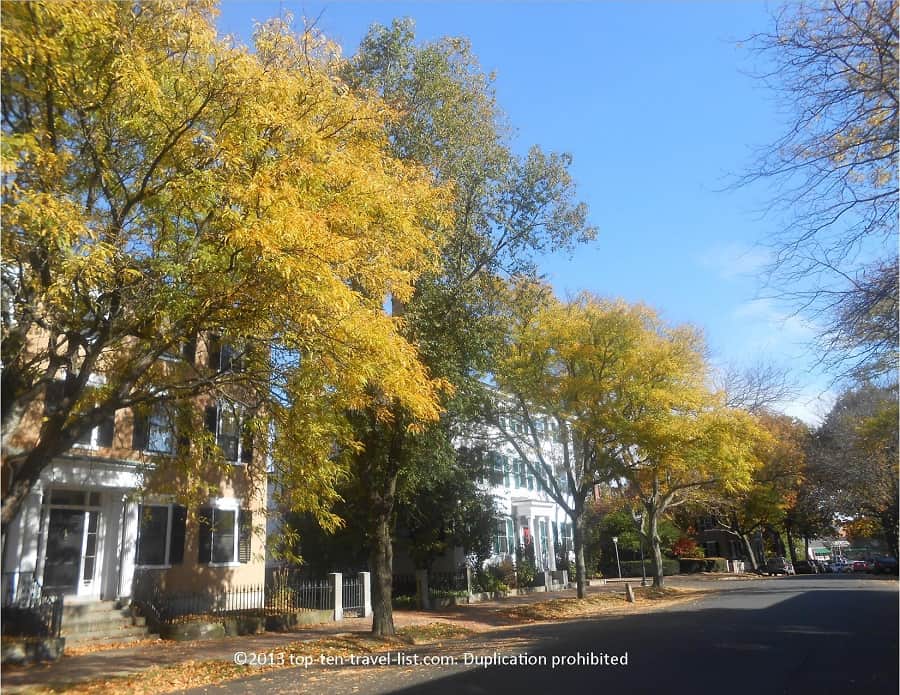 Pretty yellow foliage lining the streets of Salem, Massachusetts