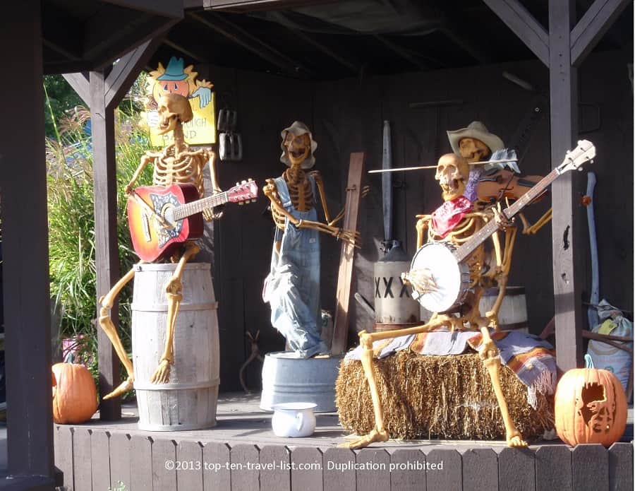 Skeleton animatronics at Bengston's Pumpkin Farm