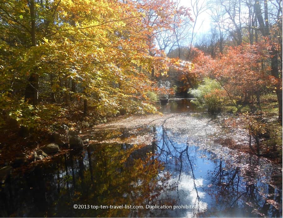Creek view at Devil's Hopyard State park