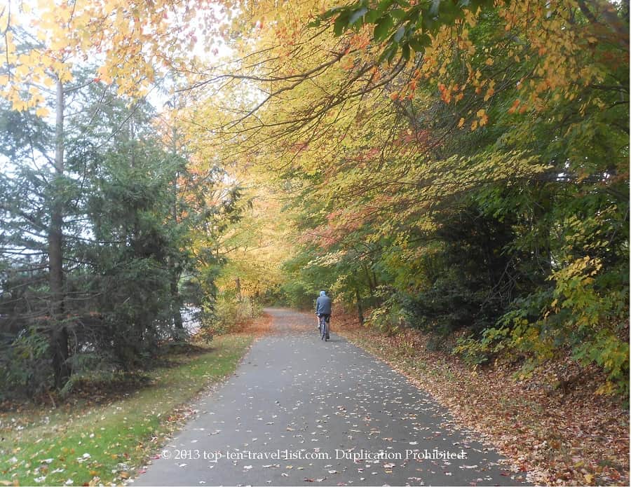 Yellow foliage along the Minuteman bike trail