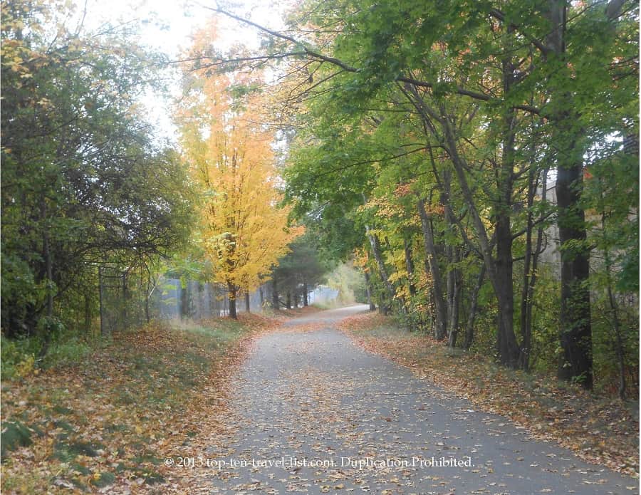 Yellow fall colors on the Minuteman trail