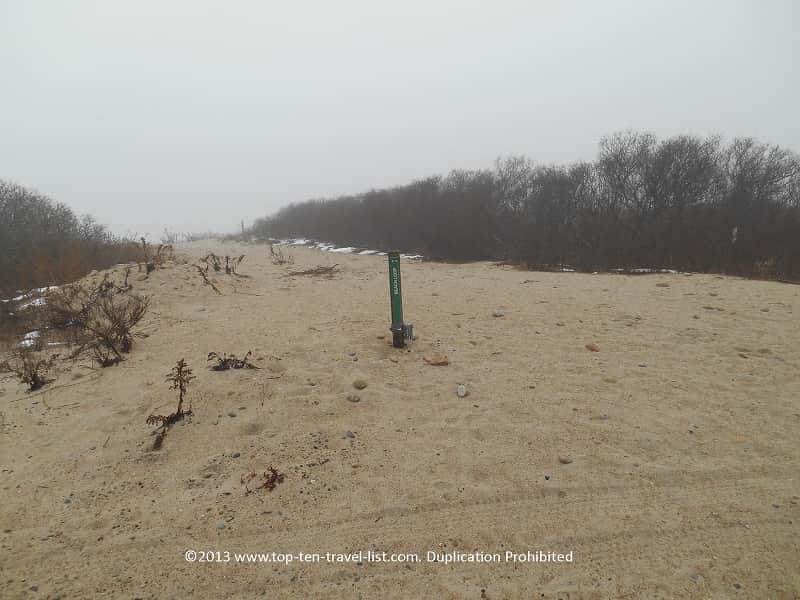 Beach Loop Trail at Allens Pond Wildlife Sanctuary 