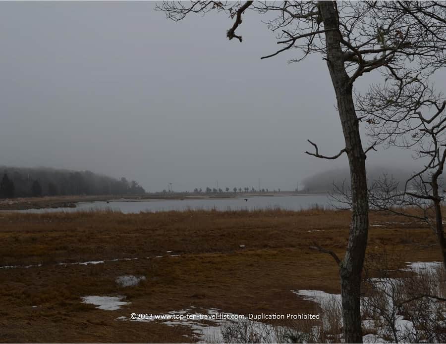 Marsh view at Great Neck Wildlife Refuge in Wareham