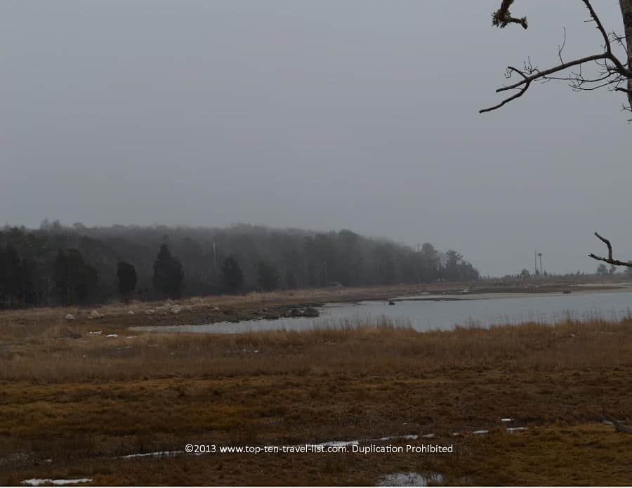 Marsh view at Great Neck Wildlife Refuge