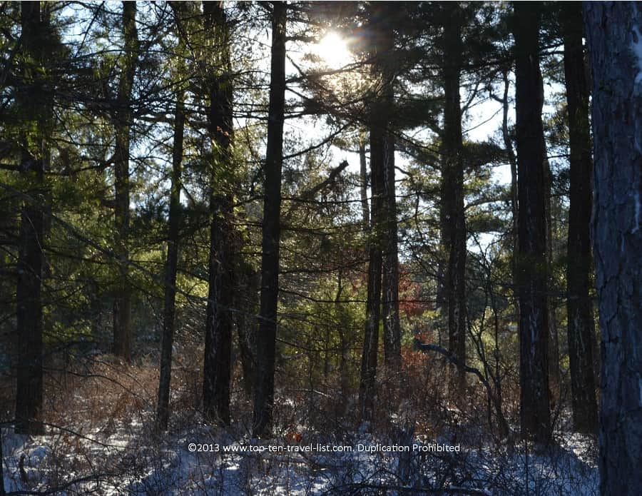 Sunset at Myles Standish