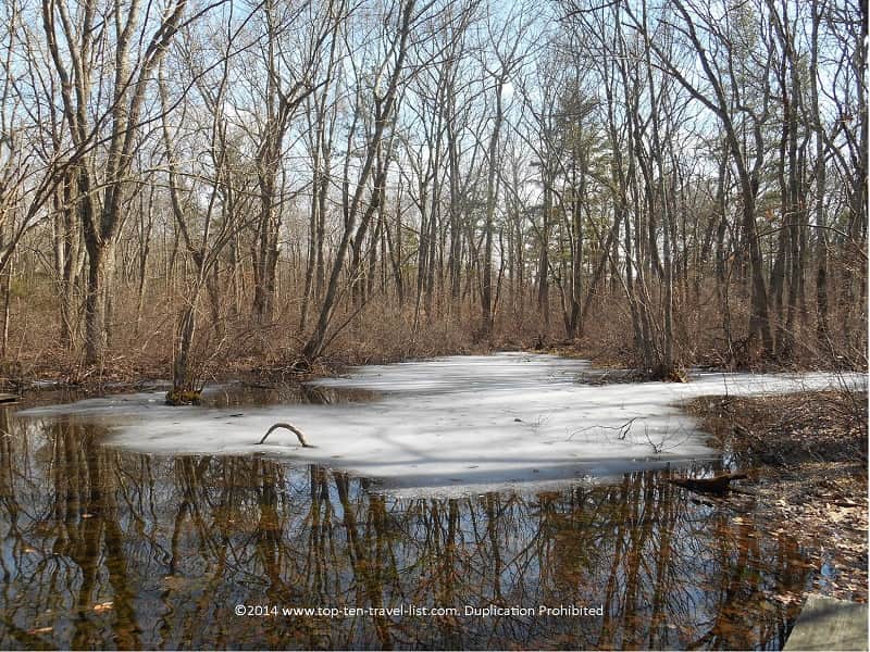 Water reflection at Caratunk Wildlife Refuge in Seekonk