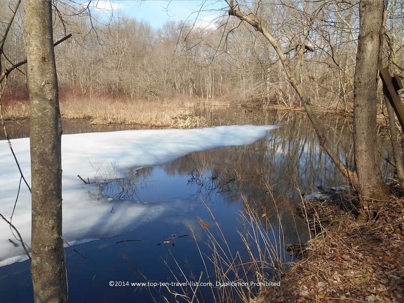 An icy stream at Caratunk Wildlife Refuge in Seekonk