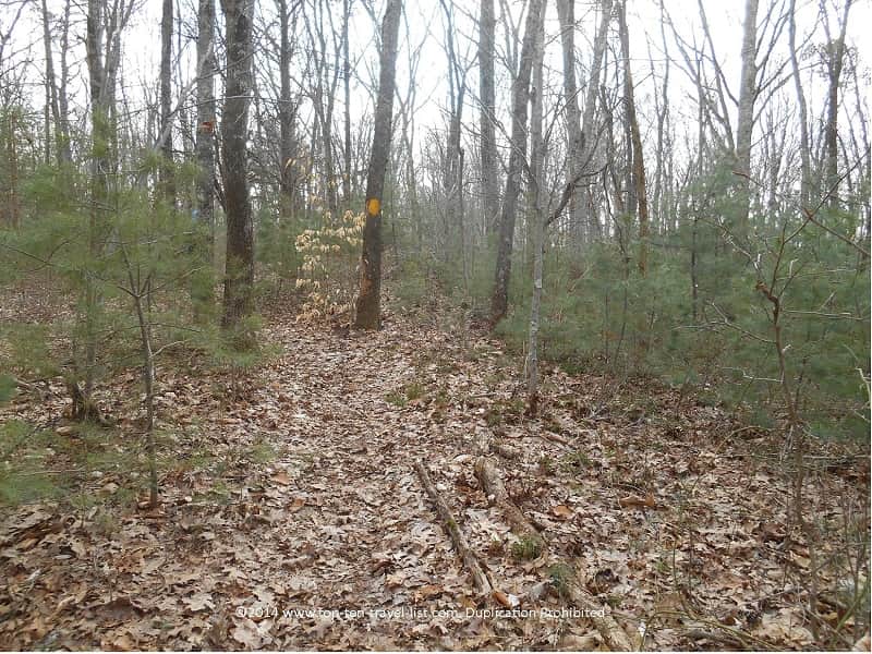 Leaves covering the trails at Caratunk Wildlife Refuge in Seekonk 