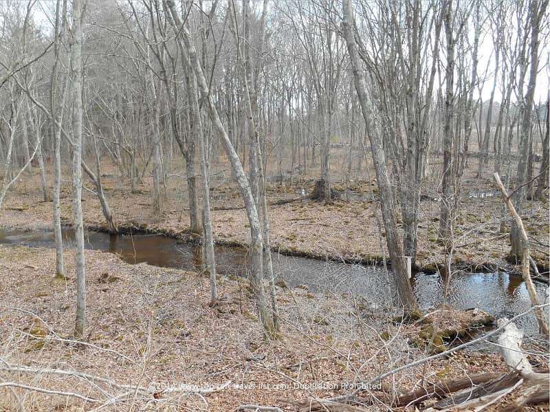 Rustic stream on the Caratunk Refuge in Seekonk