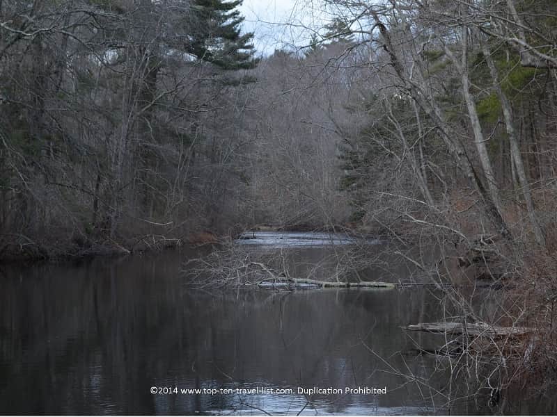 Peaceful pond scenery at Boyden Wildlife Refuge in Taunton