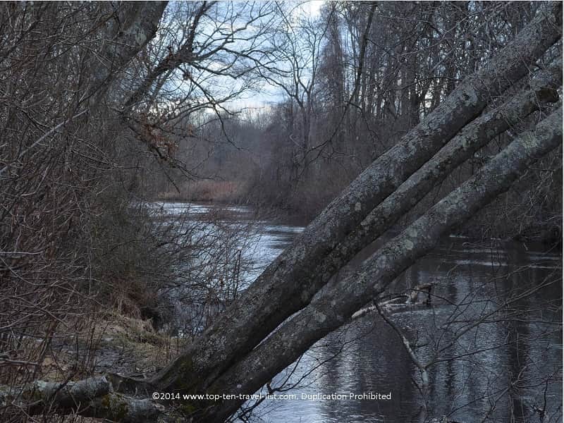 Quiet pond views at Boyden Wildlife Refuge in Taunton 