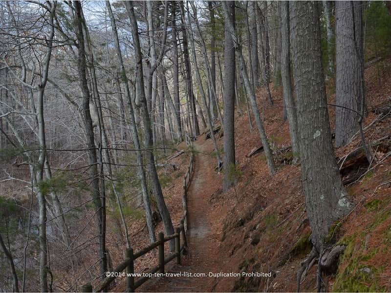 Trail view at Gertrude M. Boyden Wildlife Refuge in Taunton