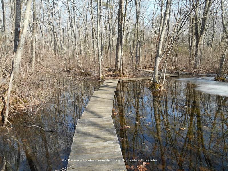 Wooden water walkway at Caratunk Wildlife Refuge in Seekonk