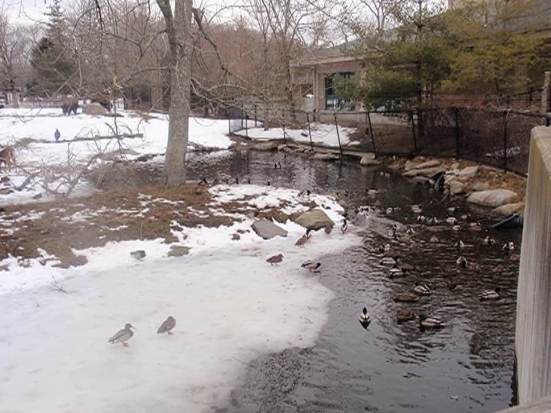 Buttonwood Park Zoo in New Bedford, Massachusetts