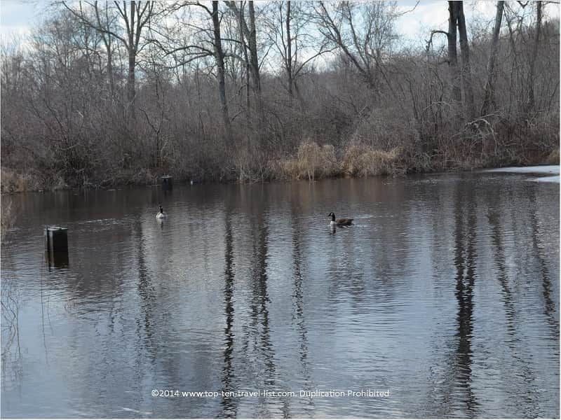 Gertrude M. Boyden Wildlife Refuge - Taunton, Massachusetts
