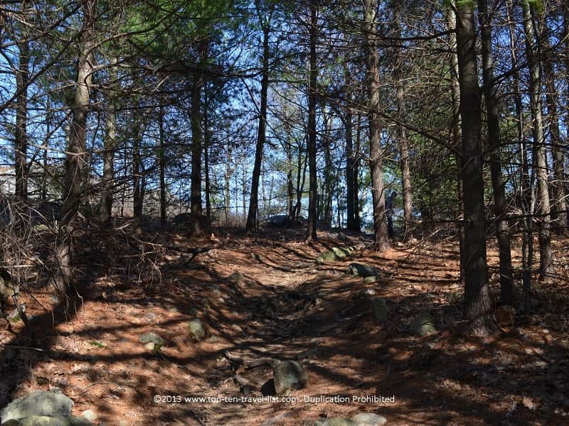 Scenic uphill climb at Massachusetts' Middlesex Fells Reservation 
