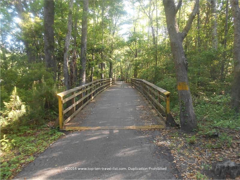 Woodsy views at Huntington State Park in South Carolina
