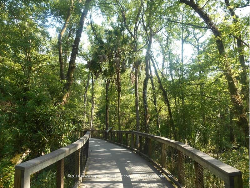 Boardwalk on the Ed Center Trail Loop at Brooker Creek Preserve