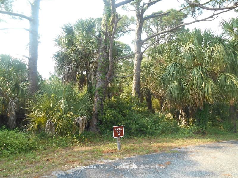 Osprey Trail at Honeymoon Island State Park in Dunedin
