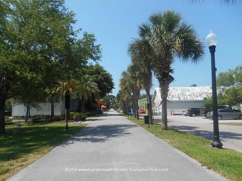 Palms lining the Pinellas trail