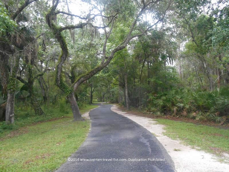 Bike path at Lettuce Lake Park