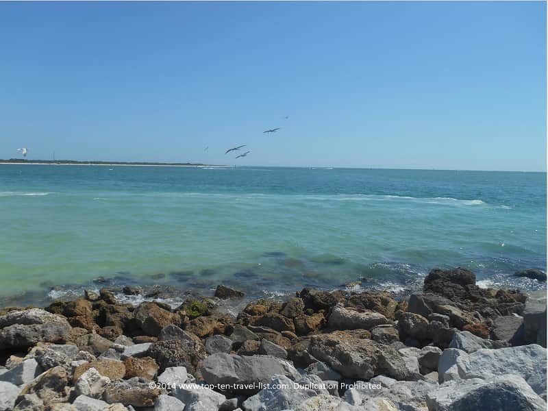 Birds flying over the water - Pass-A-Grille Beach in St. Petersburg, Florida