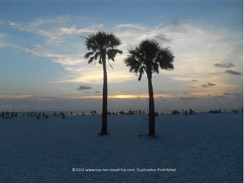 Palms on Clearwater Beach