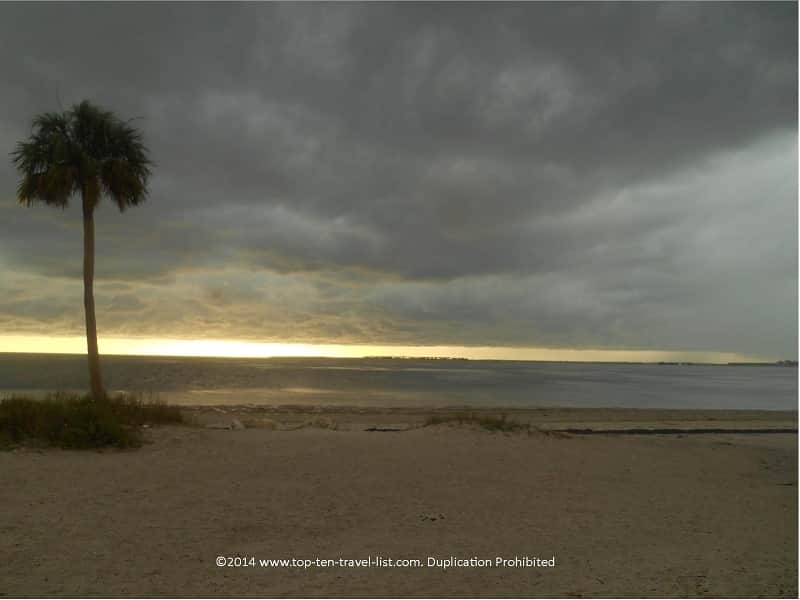 Palm tree and storm clouds at Sunset Beach in Tarpon Springs, Florida 