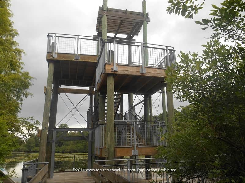 Observation Tower at Lettuce Lake Park in Tampa, Florida