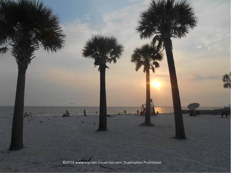 Sun setting through palms at Fred Howard Park 