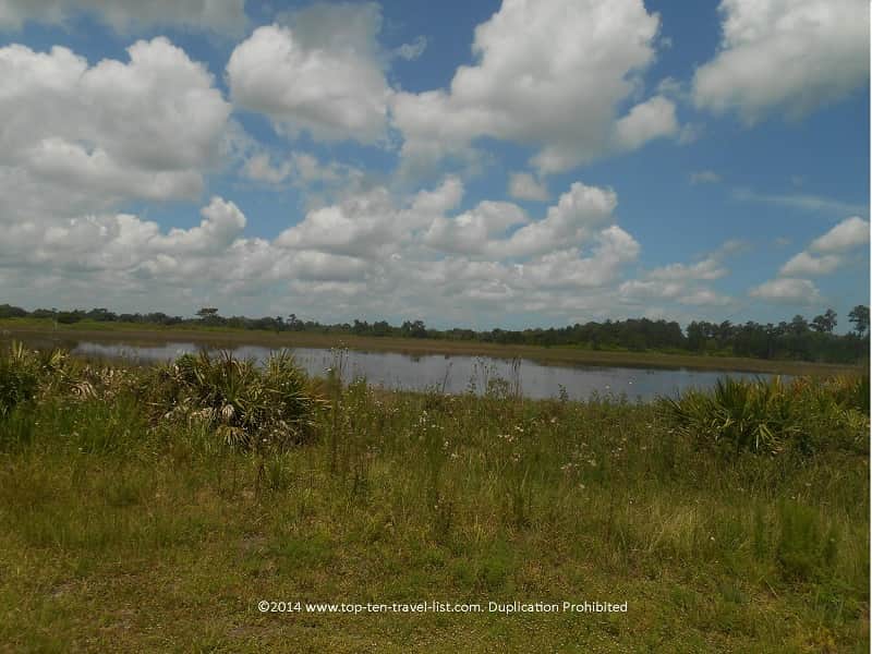 Pretty pond at Conner Preserve in Land O'Lakes, Florida 