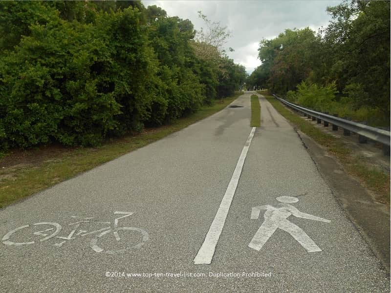 Separate walking and biking path on the Pinellas Trail 