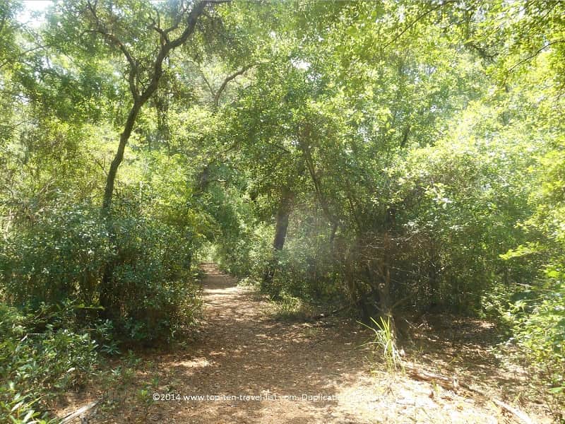 Shade at Jay B. Starkey Park