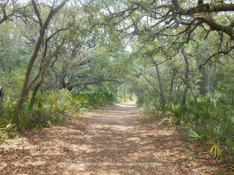 Hiking trail at Jay B. Starkey Wilderness Park in New Port Richey