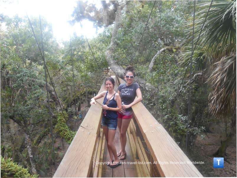 Tree canopy walk at Myakka River State Park