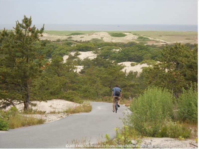 Provincelands Bike Path 