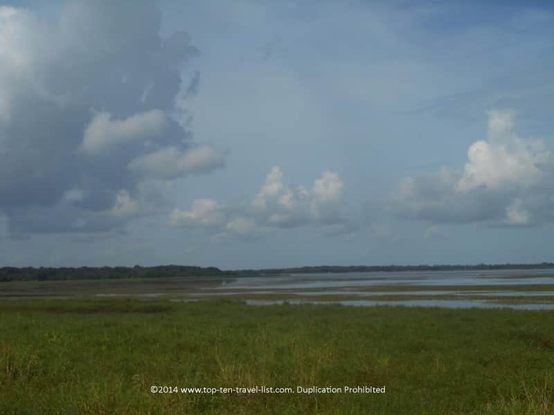 View of wetlands at Myakka River State Park