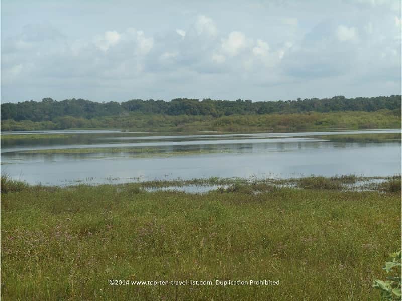 Views from birdwalk at Myakka River State park