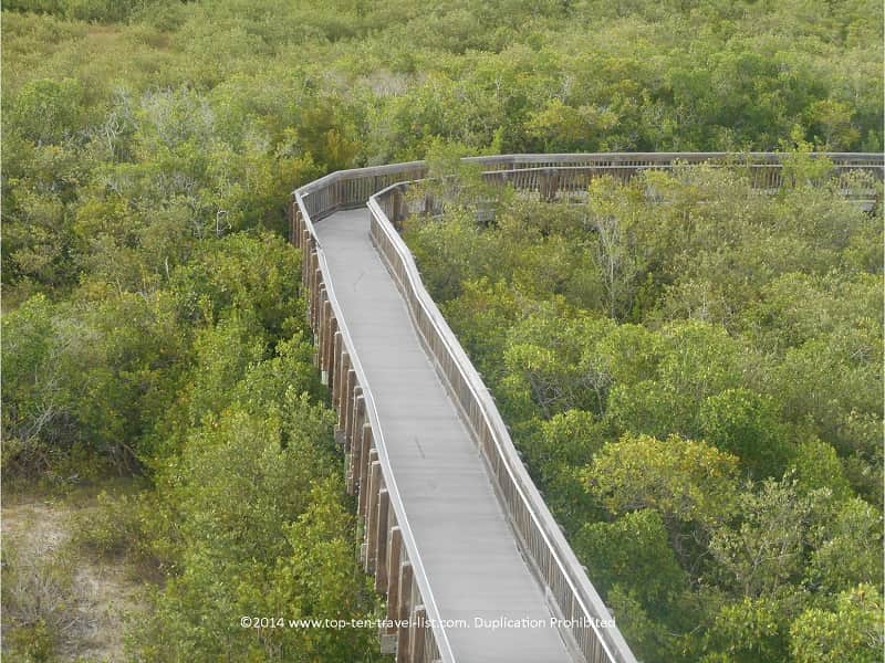 Boardwalk at Weedon Island Preserve