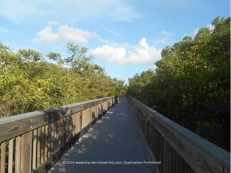 Boardwalk trail at Weedon Island Preserve