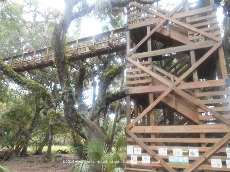 Observation tower at Myakka River State park 