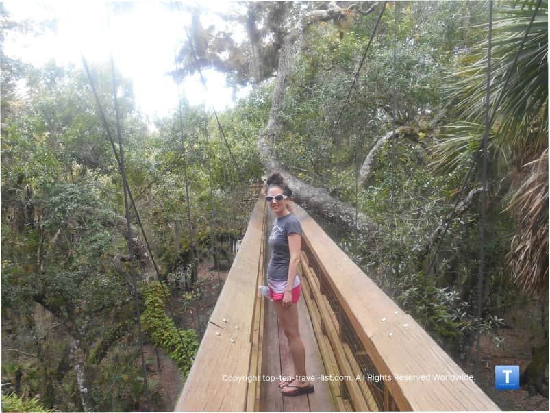Canopy walk at Myakka River State Park in Sarasota