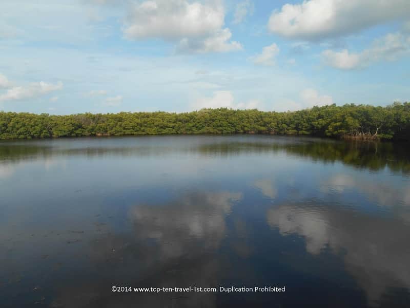 Views of the pond at Weedon Island Preserve in St. Petersburg, Florida