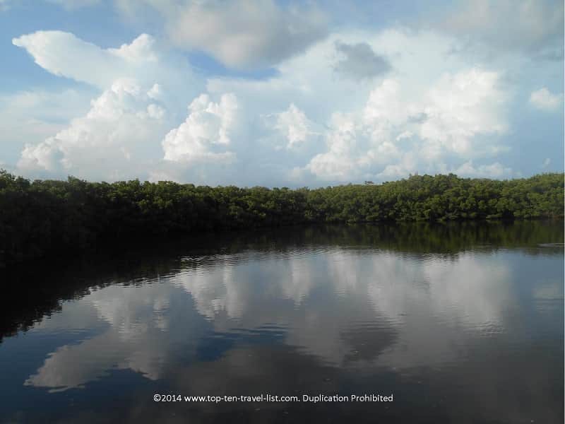 Pretty pond views at Weedon Island Preserve in St. Petersburg, Florida