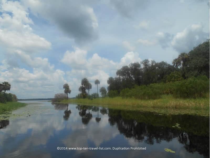 Pretty views of palms on Upper Myakka Lake in Sarasota