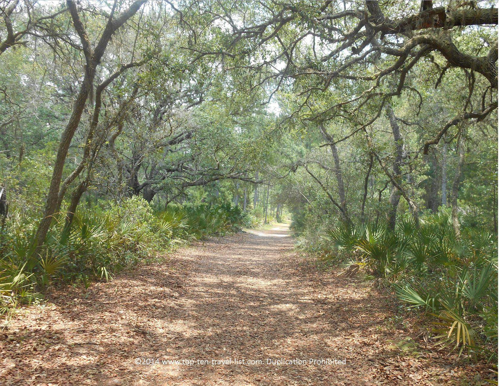 Heavy tree lined trails at Jay B. Starkey Wilderness Park in New Port RIchey, Florida