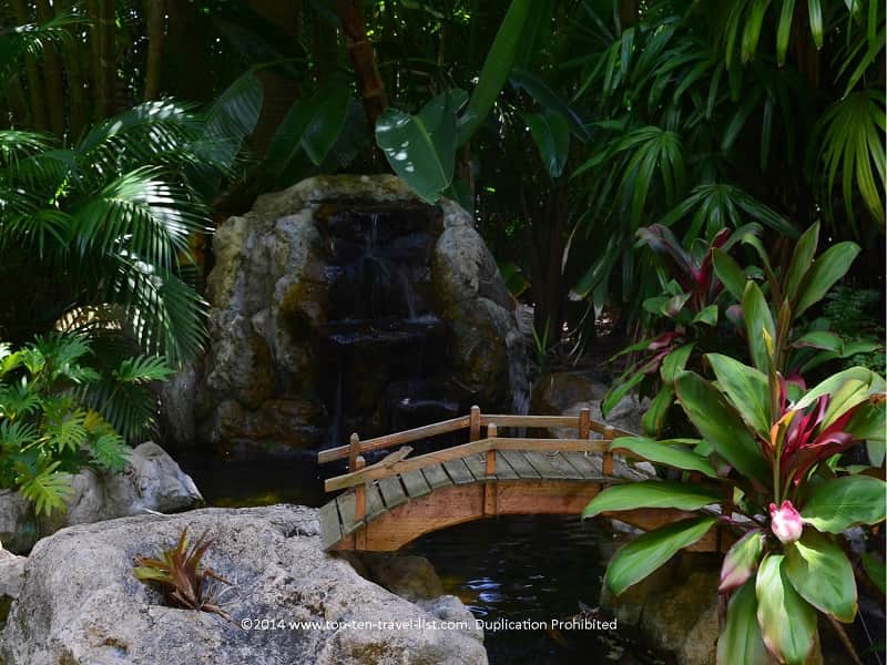 Koi pond at Sunken Gardens St. Pete