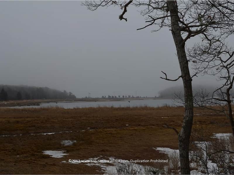 Marsh views at Great Neck Wildlife Refuge in Massachusetts